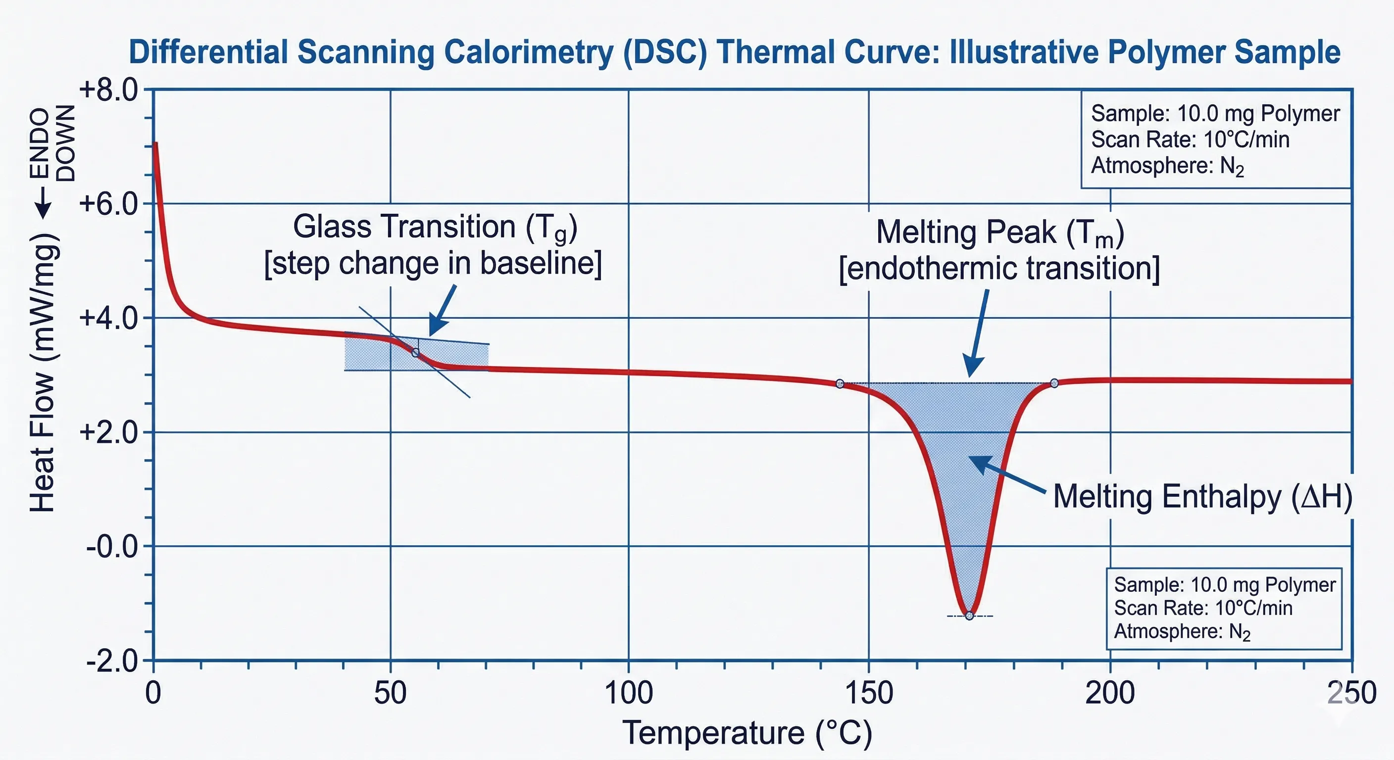 DSC thermal curve graph